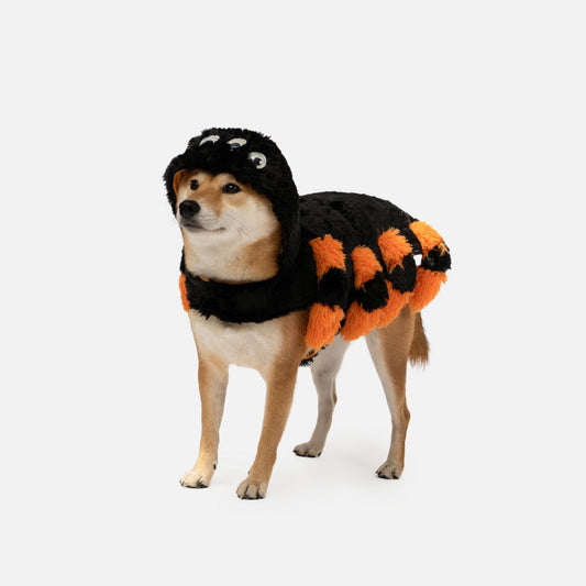 Spooky Spider Dog Costume