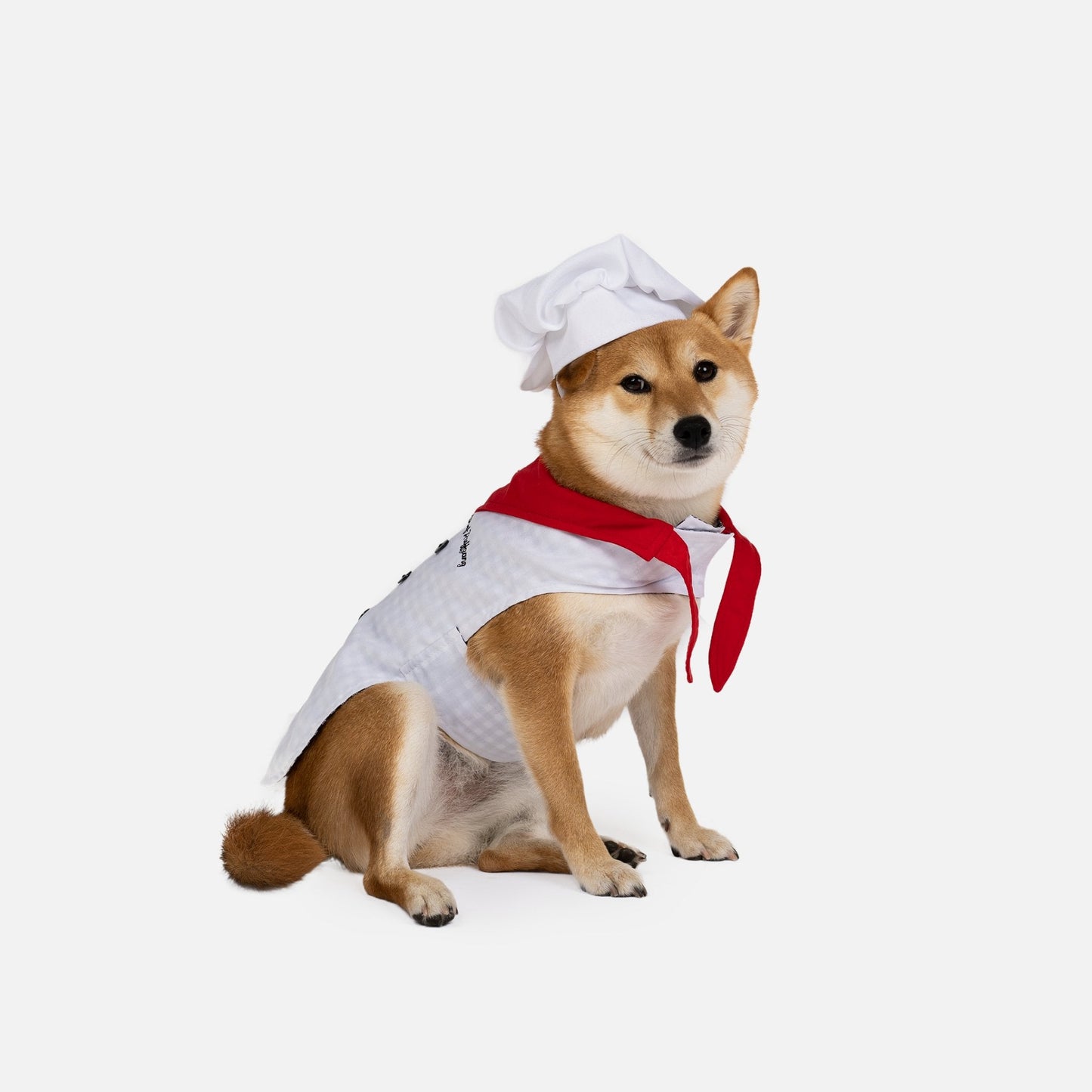 World Class Chef Dog Costume