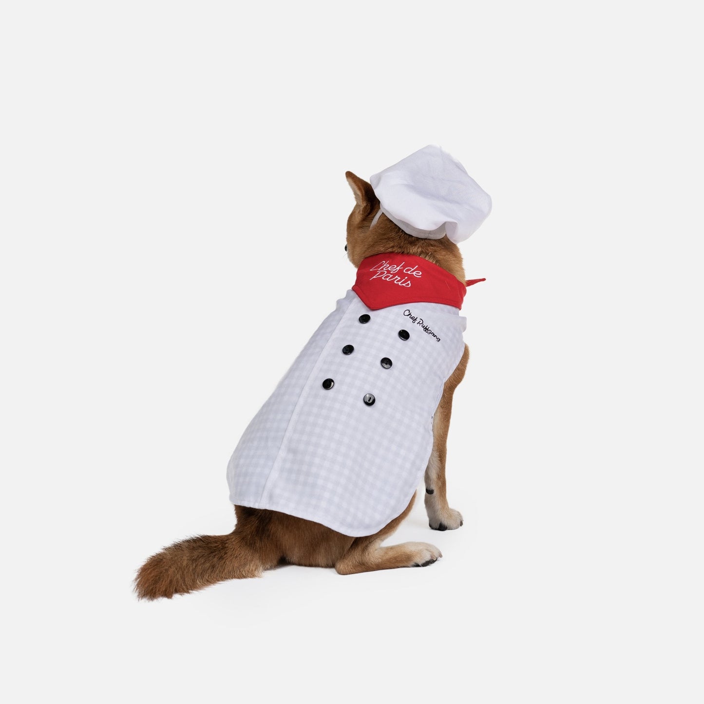 World Class Chef Dog Costume
